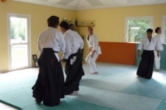 bv000001Démo Aikido FFAAA Saint Martin de Secas Saint Macaire Langon